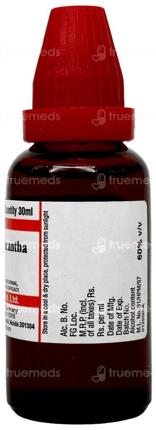 Dr Willmar Schwabe Crataegus Oxyacantha Q Mother Tincture 30Ml